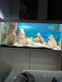 acquario bianco ciano emotion 120 led completo