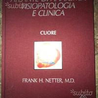 Il Cuore - Frank H. Netter