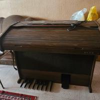 organo elka