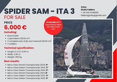 Barca a Vela Microclass 5,5 m