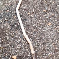 Scarico completo fiat 600