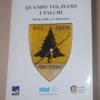 QUANDO VOLAVANO I FALCHI STORIA SCI ABETONESE 1992