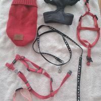 Guinzagli e vestito invernale 