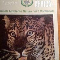 L'arca di noe' - animali nei 5 continenti - africa