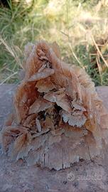 Pietra minerale ' rosa del deserto'