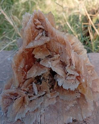 Pietra minerale ' rosa del deserto'