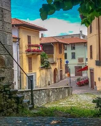 Stanza singola in trilocale con bagno privato