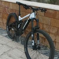 e bike