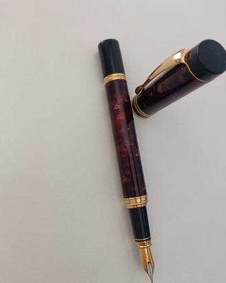 Penna stilografica 