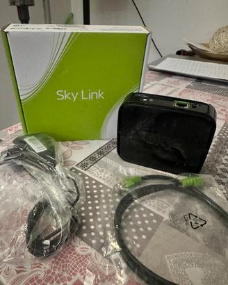 Sky link Modello Daz100s