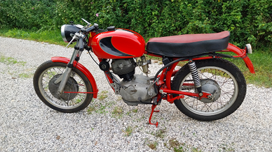 Morini Settebello 175