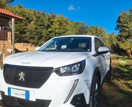 PEUGEOT 2008 2ª serie - 2020