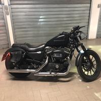 Harley davidson 883 iron