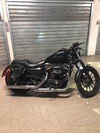 Harley davidson 883 iron