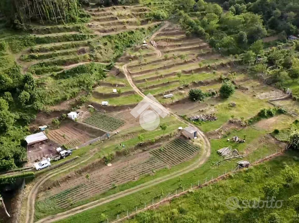 TER. AGRICOLO A CERVINARA - Altro