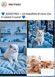Dolcissimo incrocio