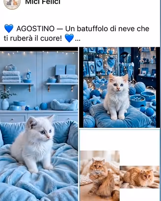 Dolcissimo incrocio