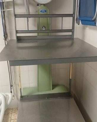 Bilancia Pesa Zenith 300kg