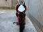 Immagine 5