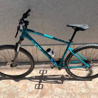 MTB  FOCUS BLUE GREEN