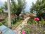 Immagine 29