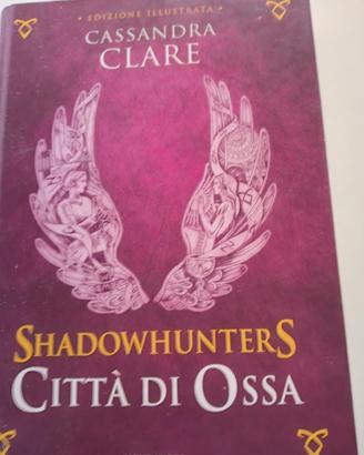 LIBRO SHADOWHUNTERS 