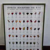Quadro aromi del vino