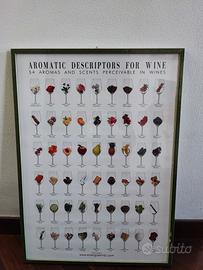 Quadro aromi del vino