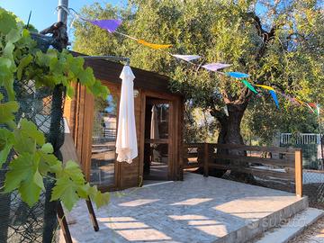 Last minute 1notte(9-10-13) o 3notti(11-14) agosto