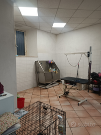 Locale Commerciale/Laboratorio/Ufficio di 53 mq