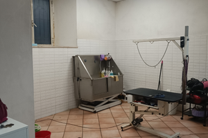 Locale Commerciale/Laboratorio/Ufficio di 53 mq