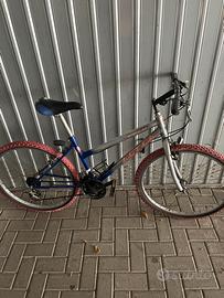 Bicicletta