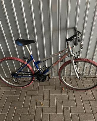 Bicicletta