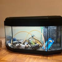 Acquario 80 litri completo di accessori – 50€