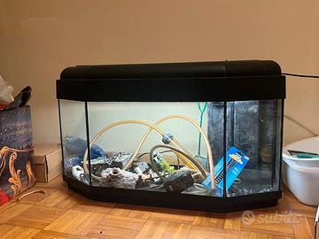 Acquario 80 litri completo di accessori – 50€