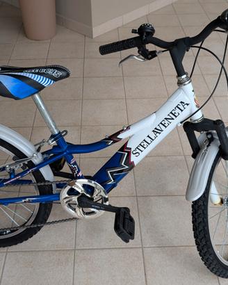 Bicicletta bambino stella veneta ruote 20"