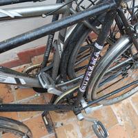 Bianchi bici