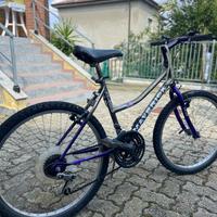 Bicicletta da ragazzo 26"