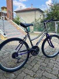 Bicicletta da ragazzo 26"