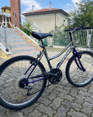Bicicletta da ragazzo 26"