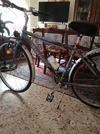 Bicicletta Bianchi Spillo