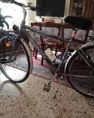 Bicicletta Bianchi Spillo