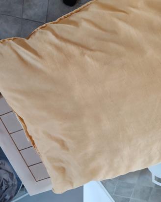 coppia di cuscini 40x70