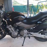 Honda Hornet 600 del 2005 tenuta maniacalmente