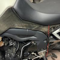 Fianchetti Triumph tiger