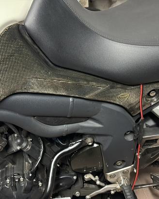 Fianchetti Triumph tiger