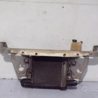 Ossatura kit radiatori Smart 450 Fortwo 800 cdi