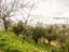 Immagine 27