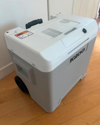 Mini frigo portatile