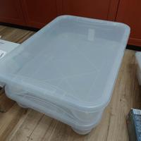 Contenitori sottoletto  con ruote